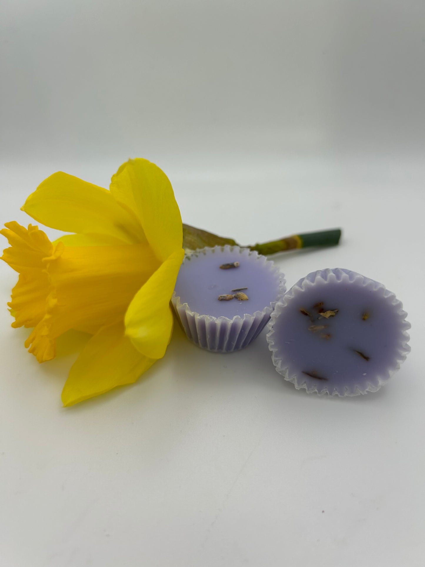 Lavender Bloom Mini Cupcake Melts Pack 20G
